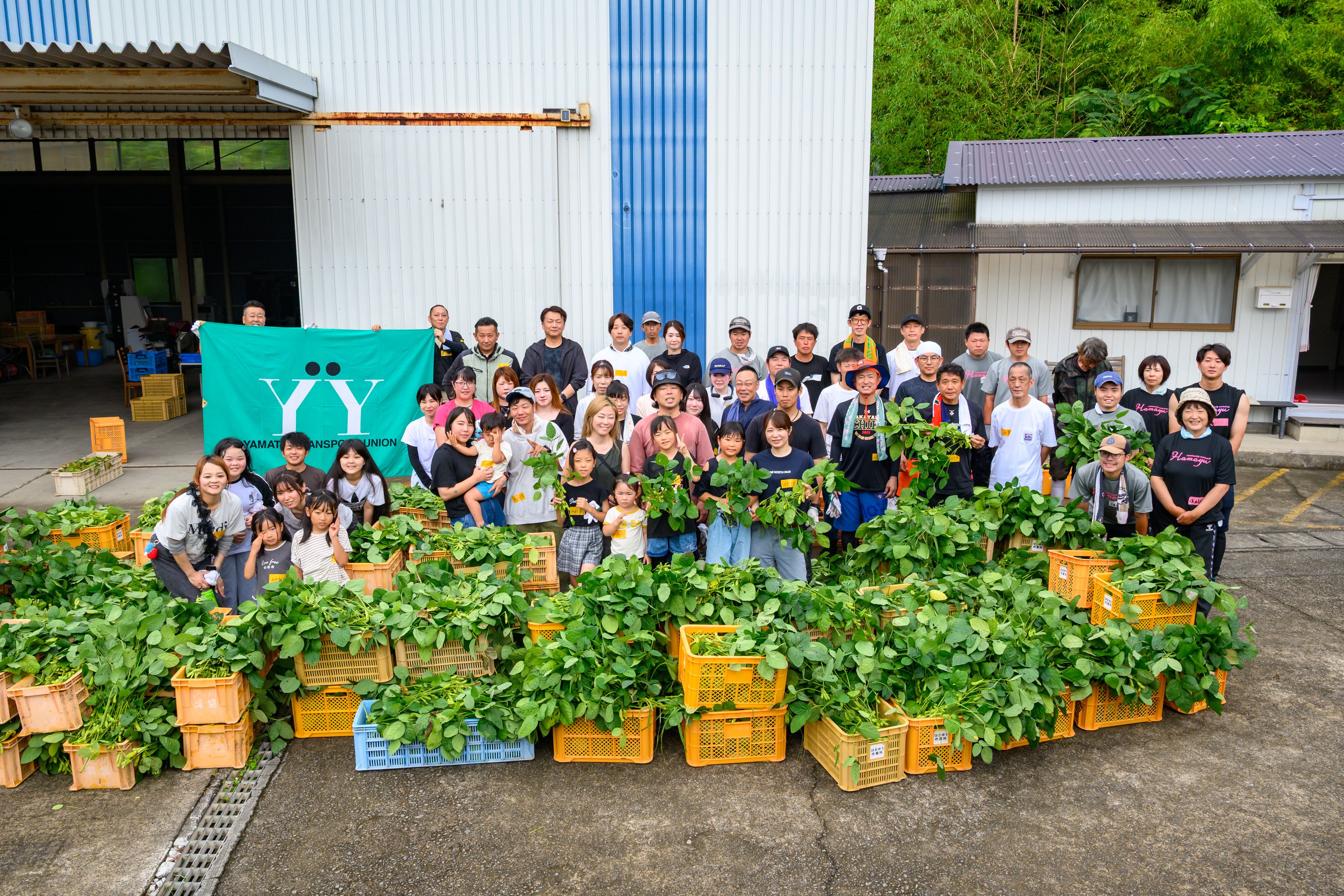 農ボラ和歌山県はまゆう①.jpg
