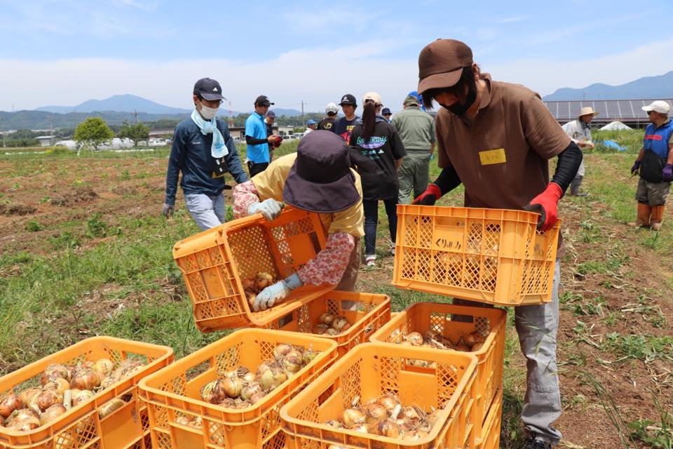 農ボラくりのみ園③.jpg