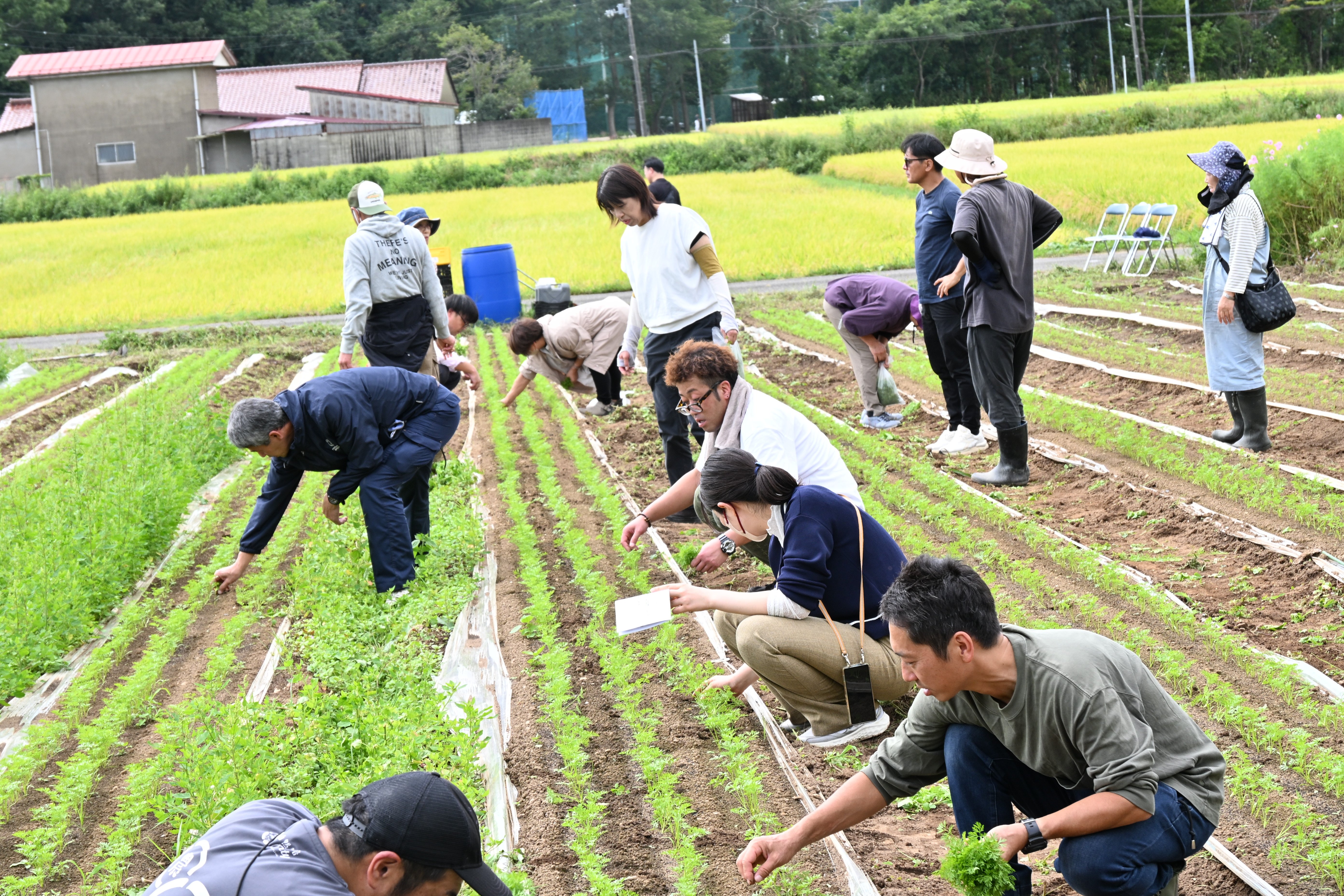 第５回農福経営実践塾3.JPG